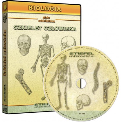 Szkielet człowieka (układ kostny) - program multimedialny